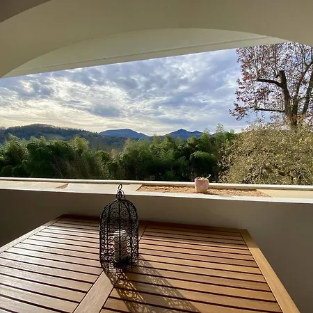 A Cambo-les-bains, Terrasse Et 3 Couchages 康博莱班